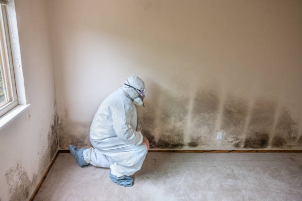 Trusted Greenbrier, TN Mold Remediation Experts